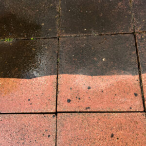 Contrast between clean and dirty paving slabs in a garden after pressure washing